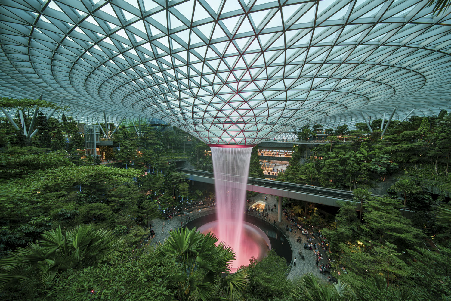 新加坡机场出现“森林”，里面还有世界最大的室内瀑布_星耀